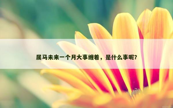属马未来一个月大事缠着，是什么事呢？