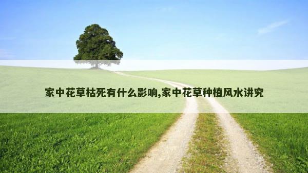 家中花草枯死有什么影响,家中花草种植风水讲究