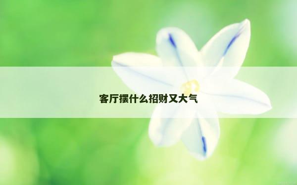 客厅摆什么招财又大气