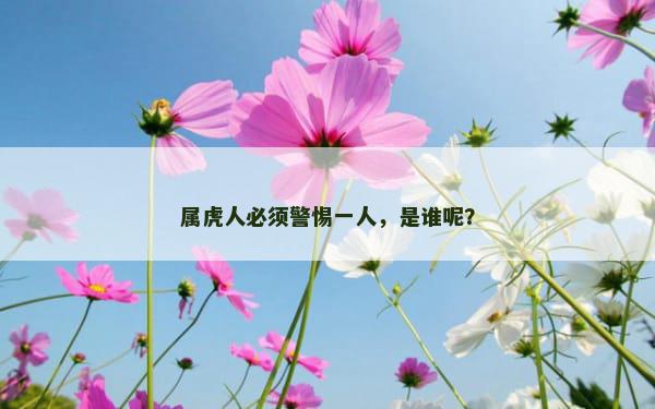 属虎人必须警惕一人，是谁呢？