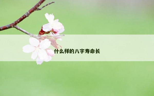 什么样的八字寿命长