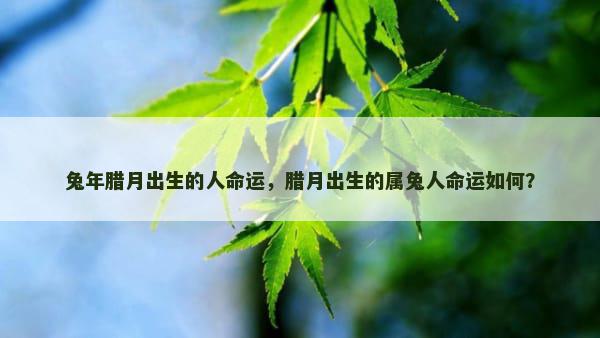 兔年腊月出生的人命运，腊月出生的属兔人命运如何？