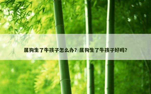 属狗生了牛孩子怎么办？属狗生了牛孩子好吗？