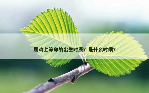 属鸡上等命的出生时辰？是什么时候？