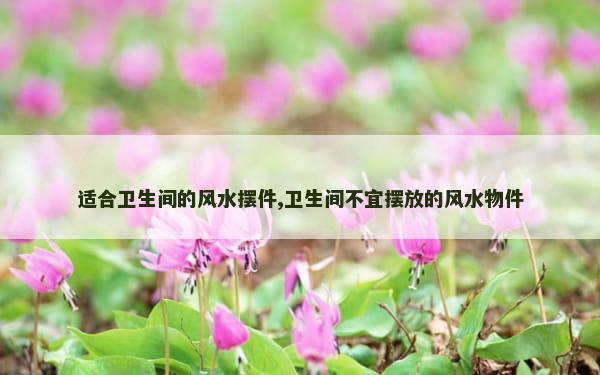 适合卫生间的风水摆件,卫生间不宜摆放的风水物件