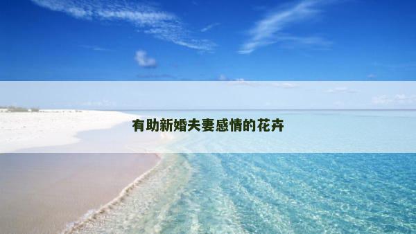 有助新婚夫妻感情的花卉