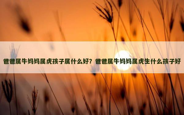 爸爸属牛妈妈属虎孩子属什么好？爸爸属牛妈妈属虎生什么孩子好