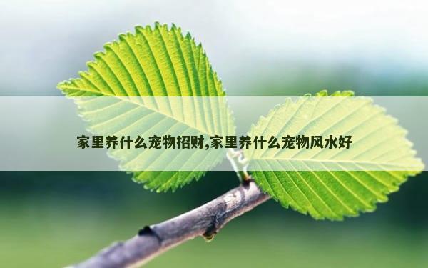 家里养什么宠物招财,家里养什么宠物风水好