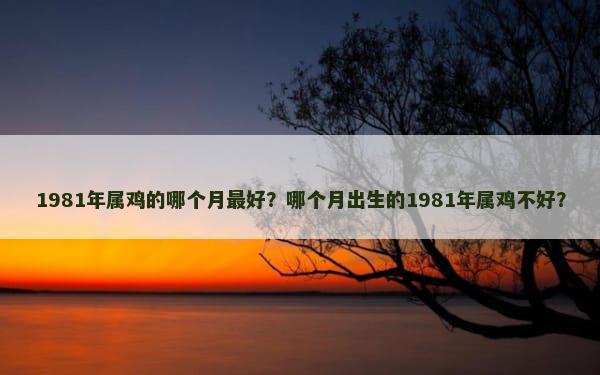 1981年属鸡的哪个月最好？哪个月出生的1981年属鸡不好？