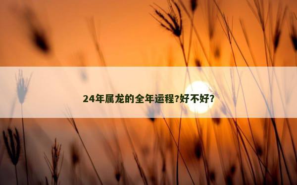 24年属龙的全年运程?好不好？