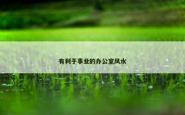 有利于事业的办公室风水
