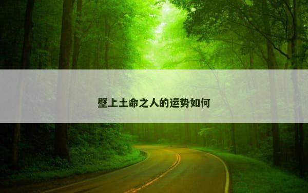 壁上土命之人的运势如何