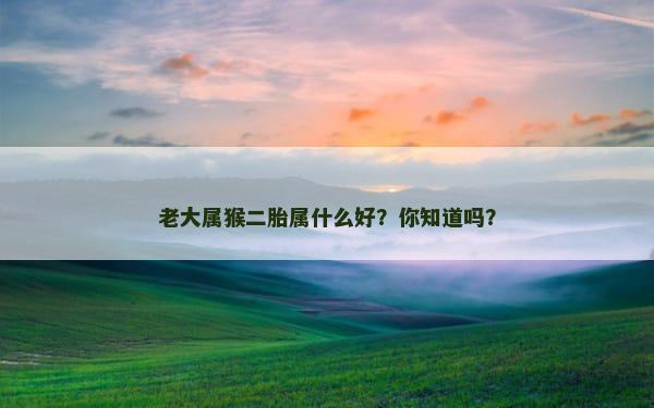老大属猴二胎属什么好？你知道吗？
