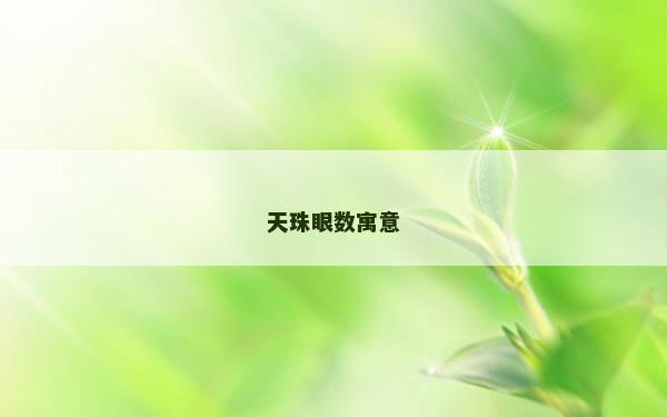 天珠眼数寓意