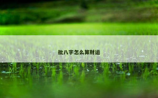 批八字怎么算财运