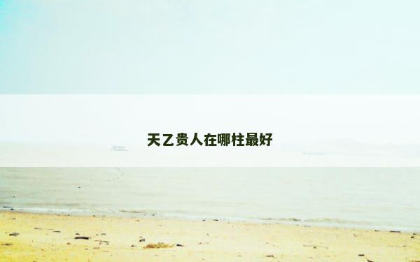 天乙贵人在哪柱最好