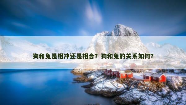 狗和兔是相冲还是相合？狗和兔的关系如何？