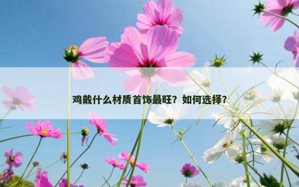 鸡戴什么材质首饰最旺？如何选择？