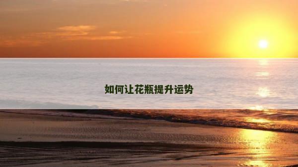 如何让花瓶提升运势