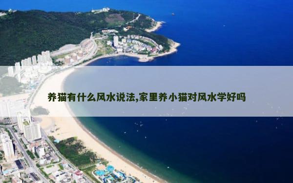 养猫有什么风水说法,家里养小猫对风水学好吗