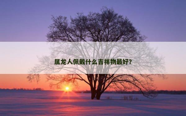 属龙人佩戴什么吉祥物最好？