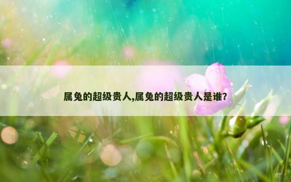 属兔的超级贵人,属兔的超级贵人是谁？