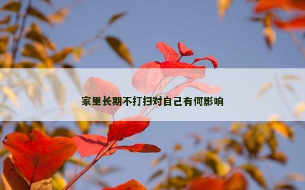 家里长期不打扫对自己有何影响