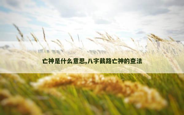 亡神是什么意思,八字截路亡神的查法