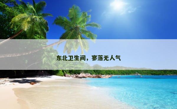 东北卫生间，寥落无人气