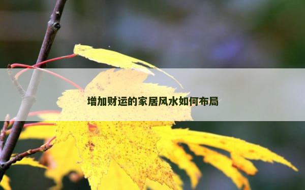 增加财运的家居风水如何布局