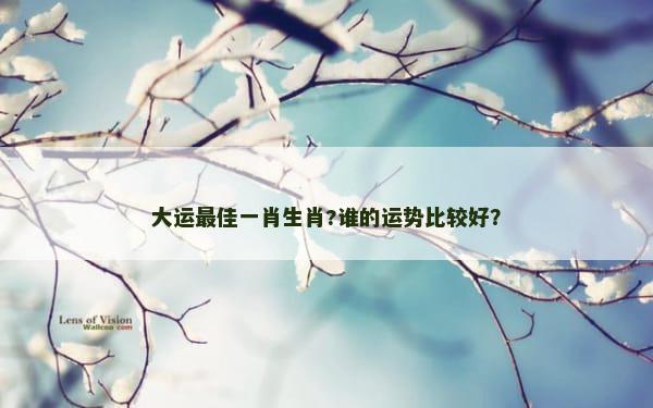 大运最佳一肖生肖?谁的运势比较好？
