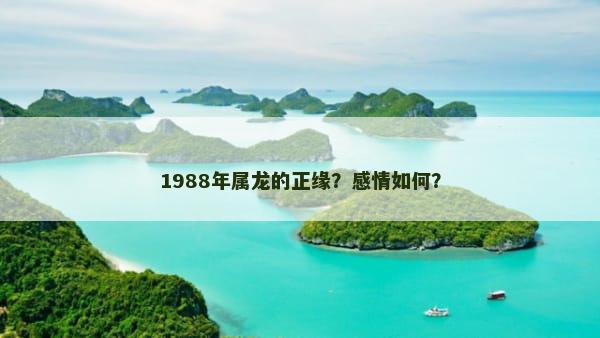 1988年属龙的正缘？感情如何？