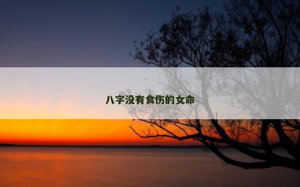 八字没有食伤的女命