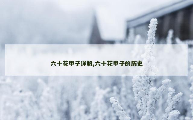 六十花甲子详解,六十花甲子的历史