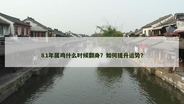 81年属鸡什么时候翻身？如何提升运势？