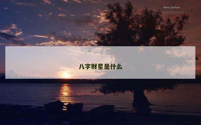 八字财星是什么