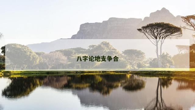 八字论地支争合