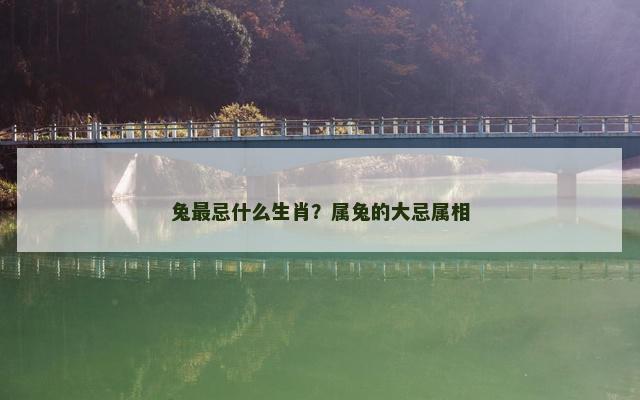 兔最忌什么生肖？属兔的大忌属相