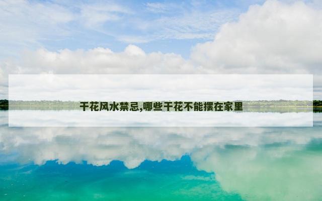 干花风水禁忌,哪些干花不能摆在家里