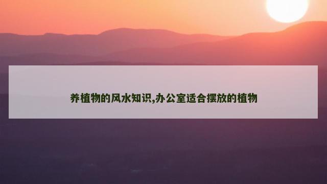 养植物的风水知识,办公室适合摆放的植物