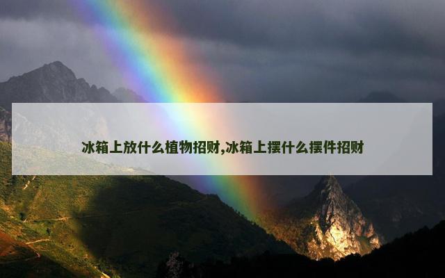 冰箱上放什么植物招财,冰箱上摆什么摆件招财
