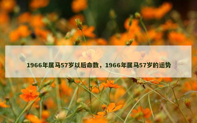 1966年属马57岁以后命数，1966年属马57岁的运势