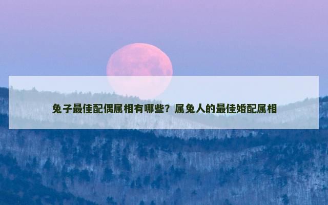 兔子最佳配偶属相有哪些？属兔人的最佳婚配属相