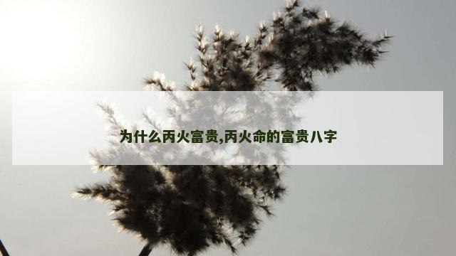 为什么丙火富贵,丙火命的富贵八字