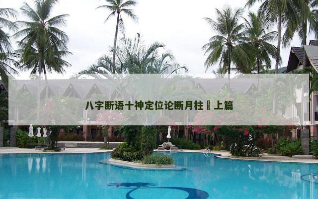 八字断语十神定位论断月柱–上篇
