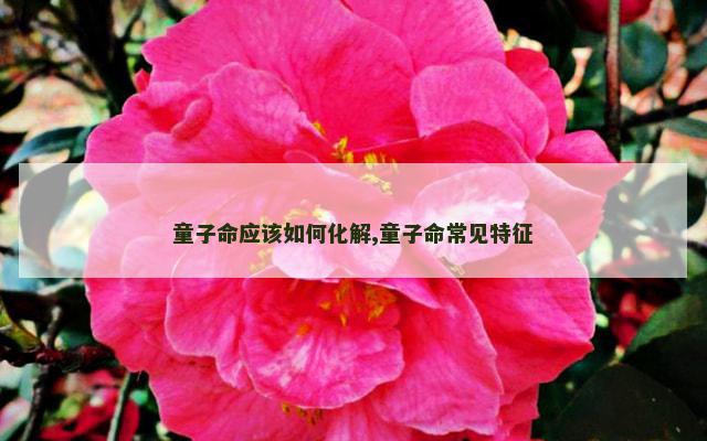 童子命应该如何化解,童子命常见特征