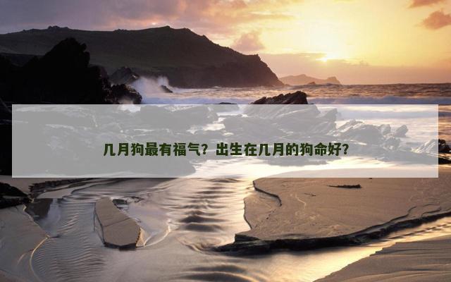 几月狗最有福气？出生在几月的狗命好？