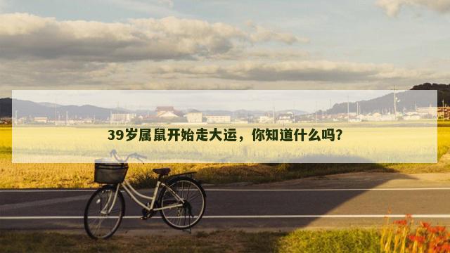 39岁属鼠开始走大运，你知道什么吗？