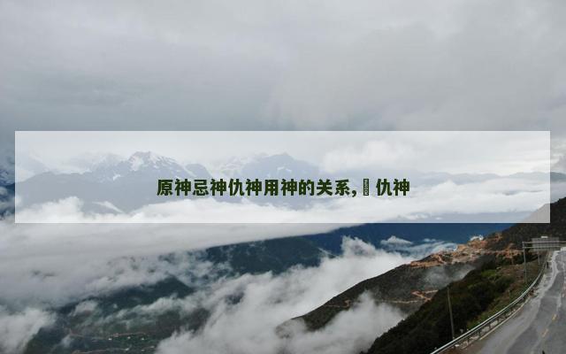 原神忌神仇神用神的关系,​仇神