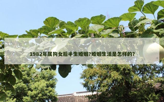 1982年属狗女后半生婚姻?婚姻生活是怎样的？